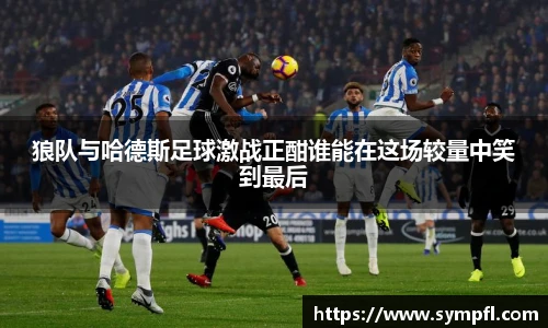 狼队与哈德斯足球激战正酣谁能在这场较量中笑到最后