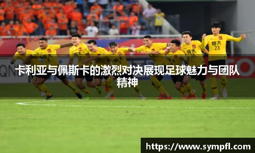 完美体育365WM平台官网