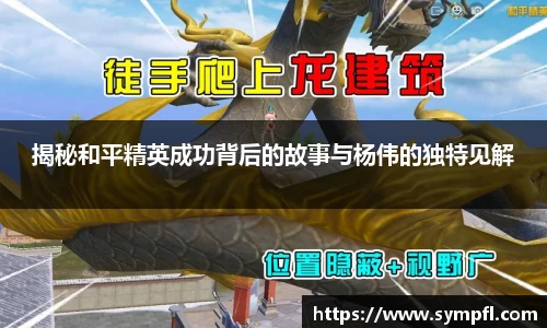 揭秘和平精英成功背后的故事与杨伟的独特见解